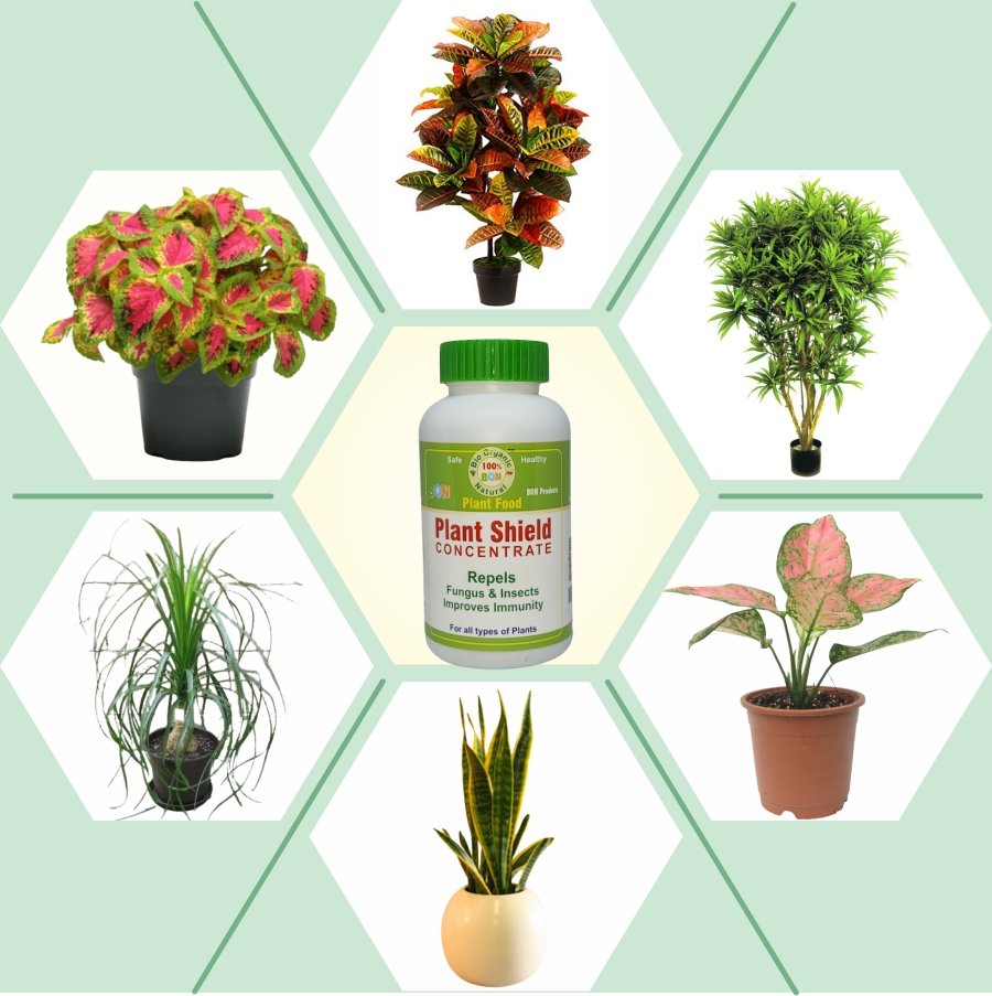 Plant Shield Concentrate Jannat Nursery All products)img