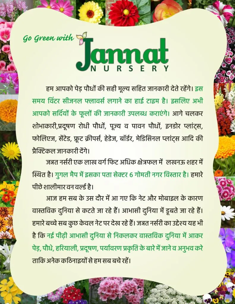 Flower Border Pamphlet Jannat Nursery)img
