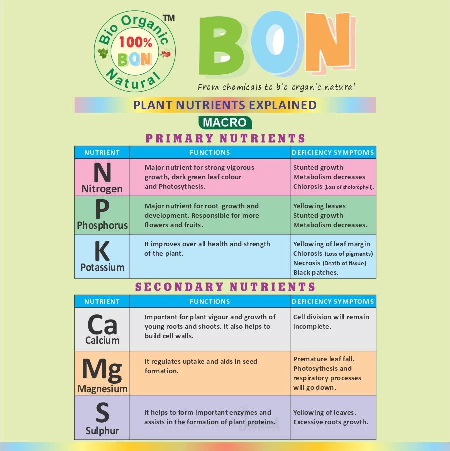 PLANT NUTRIENTS EXPLAINED Jannat Nursery)img
