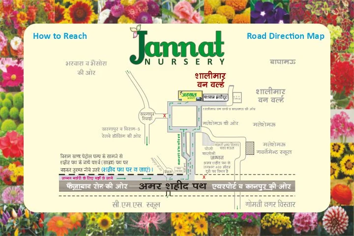 Jannat wholesale Nursery Road Map)img